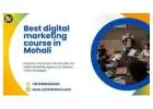 Best digital marketing institute in Mohali| 100% job placement