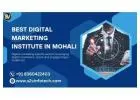 Best digital marketing institute in Mohali| Placement Guarantee