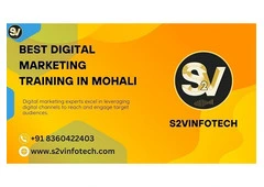 S2vinfotech Best digital marketing institute in Mohali with s2vinfotech 100% Job Placement
