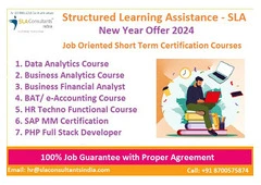 Offline Business Analyst Course in Delhi, with Free Python by SLA Consultants Institute in Delhi, NC