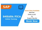 Sap s4hana tm online training in India