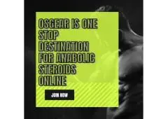 Osgear Is One Stop Destination for Anabolic Steroids Online