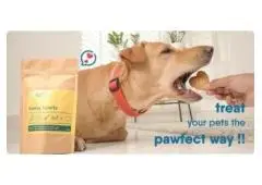 The Best Online Store For Stylish Pet Supplies In India