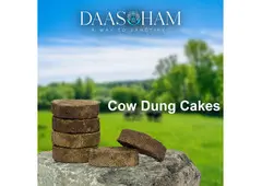 Cow Dung Cakes For Rudra Yagna