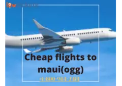Find best deal to Cheap Flight to Maui |$999