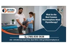 Physiotherapy: A Multifaceted Approach to Healing