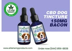 Get CBD Tinctures for Pets and Keep Your Dog Healthy